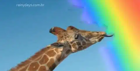 Skittles feitas de leite de girafa que come arco-íris