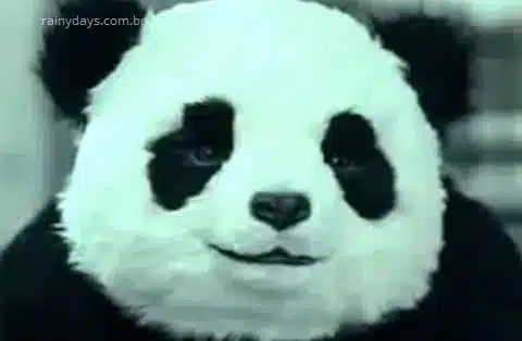 Propaganda Nunca diga não ao panda, vídeo engraçado
