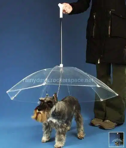 dogbrella coleira guarda-chuva para cachorro