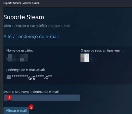 Insira seu novo endereço de email Steam suporte