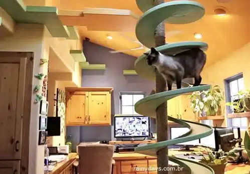 Homem Transforma a Casa Parque para seus 15 Gatos