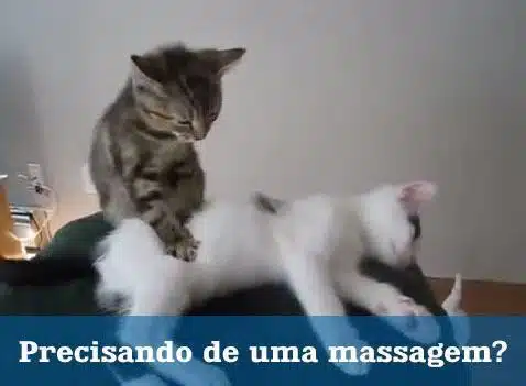 Precisando de uma massagem?