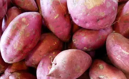 6 benefícios da batata doce para a saúde