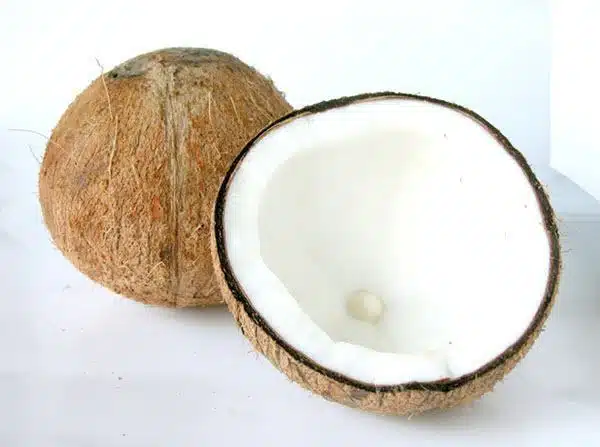 Benefícios do óleo de coco para a saúde