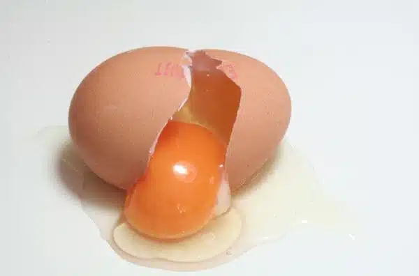 Qual a função do ovo em receitas