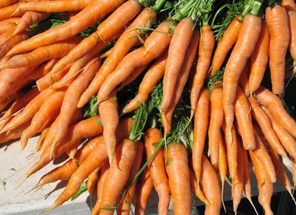 Benefícios da cenoura para a saúde