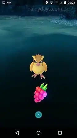 usar a Razz Berry no Pokémon Go 3