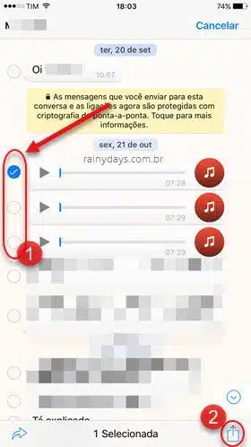 salvar mensagens de áudio do WhatsApp iOS