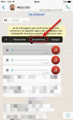 salvar mensagens de áudio do WhatsApp no iOS 2