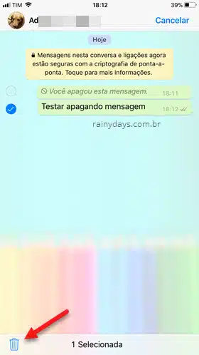 ícone da lixeira apagar mensagem WhatsApp iOS