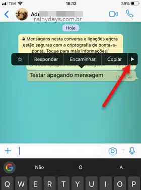 ícone setinha para direita mensagem selecionada WhatsApp iOS