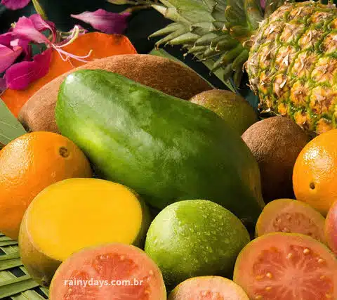 Frutas da estação verão, lista de frutas do verão, safra