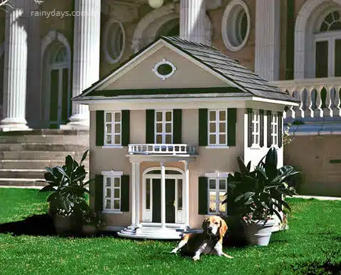 mansões para cachorro igual ao dono