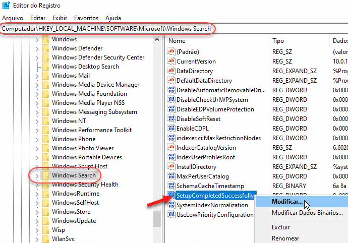 Corrigir Windows Search Editor do Registro SetupCompletedSuccesfully