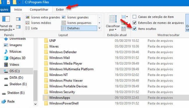 pasta WindowsApps itens ocultos Explorador de Arquivos Windows