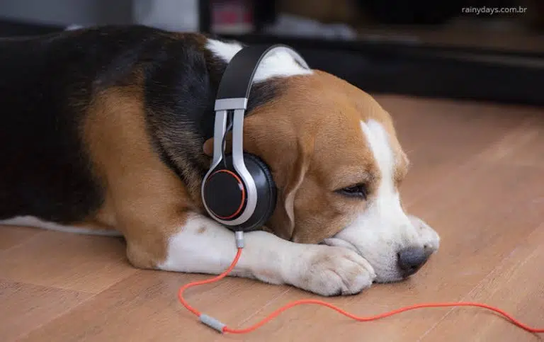 Benefícios da música para cachorros e gatos
