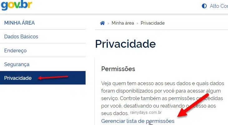 Como ver serviços que têm acesso à conta Gov.br 