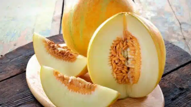 Benefícios da semente de melão para a saúde