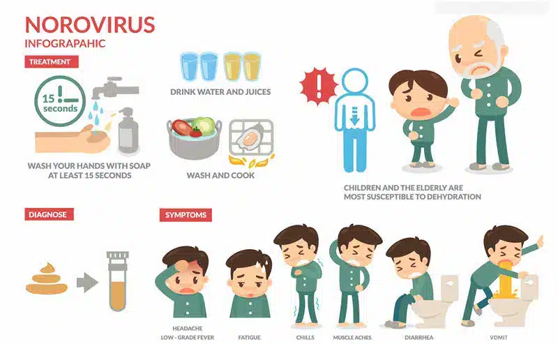 Vírus que podem contaminar os alimentos, norovírus, rotavírus, hepatite