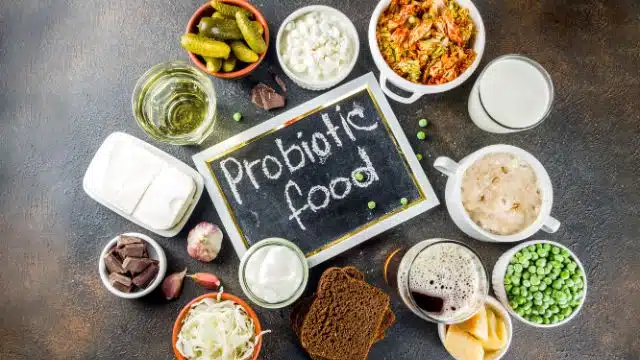 Os benefícios dos probióticos para a saúde