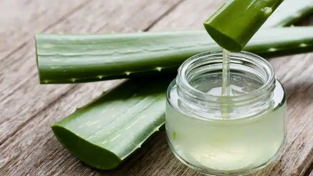 Benefícios da babosa para os cabelos (aloe vera)