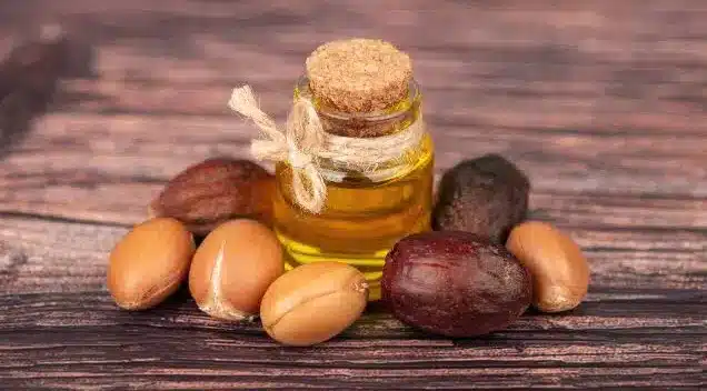 principais benefícios do óleo de argan para os cabelos